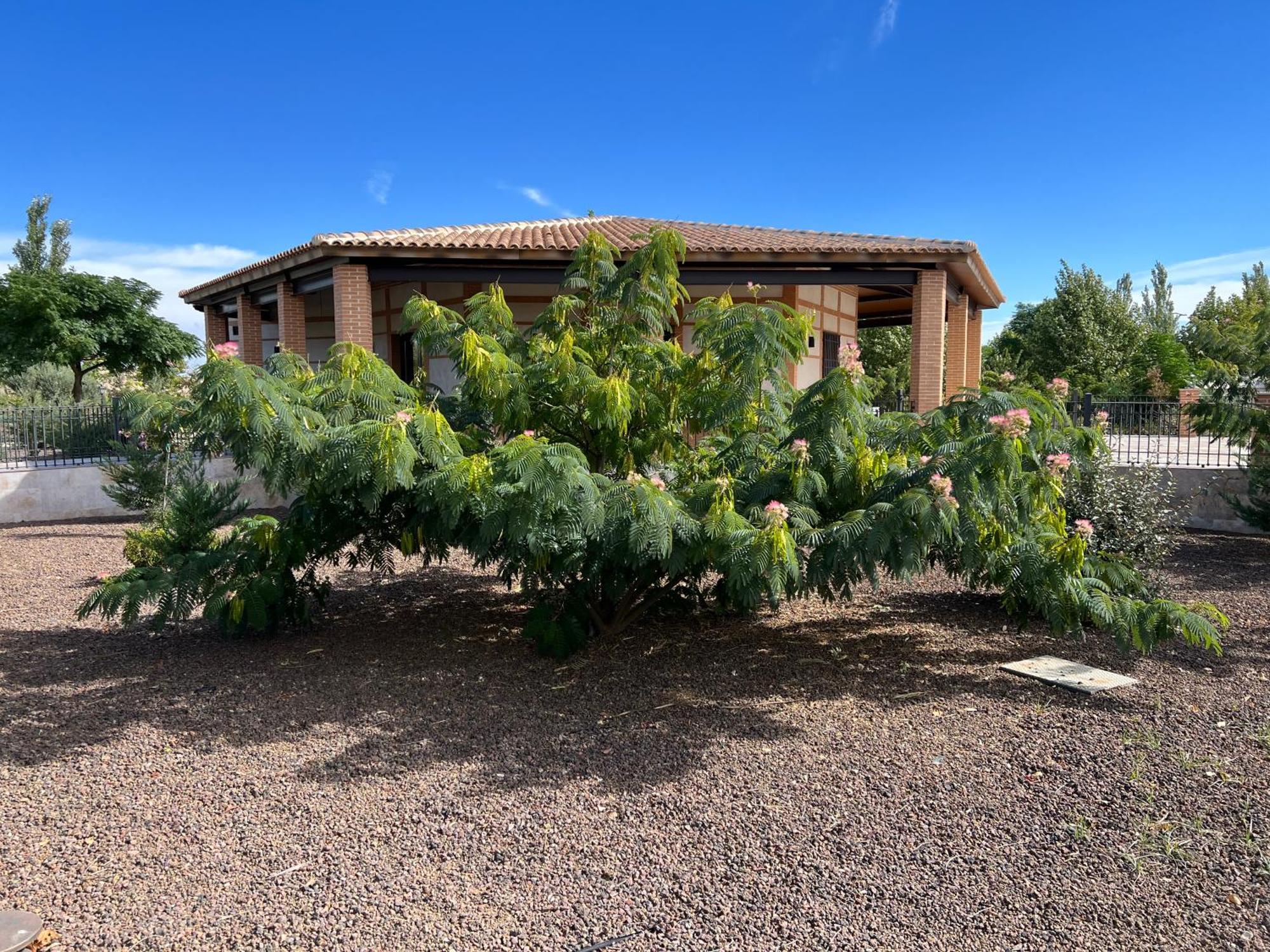 Valverde  Finca Alarcos מראה חיצוני תמונה